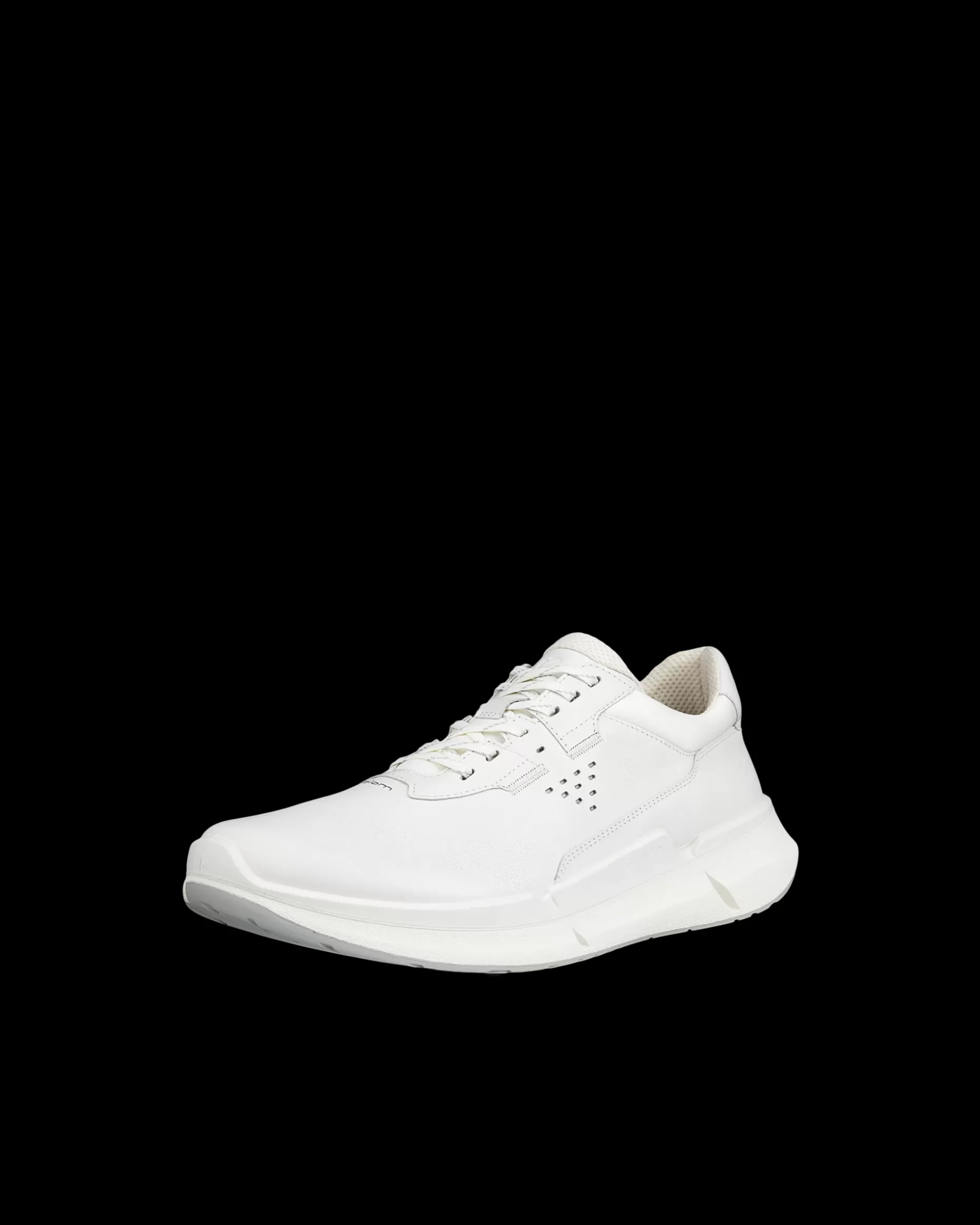 ECCO Sneakers | Outdoor^ BIOM 2.2 M