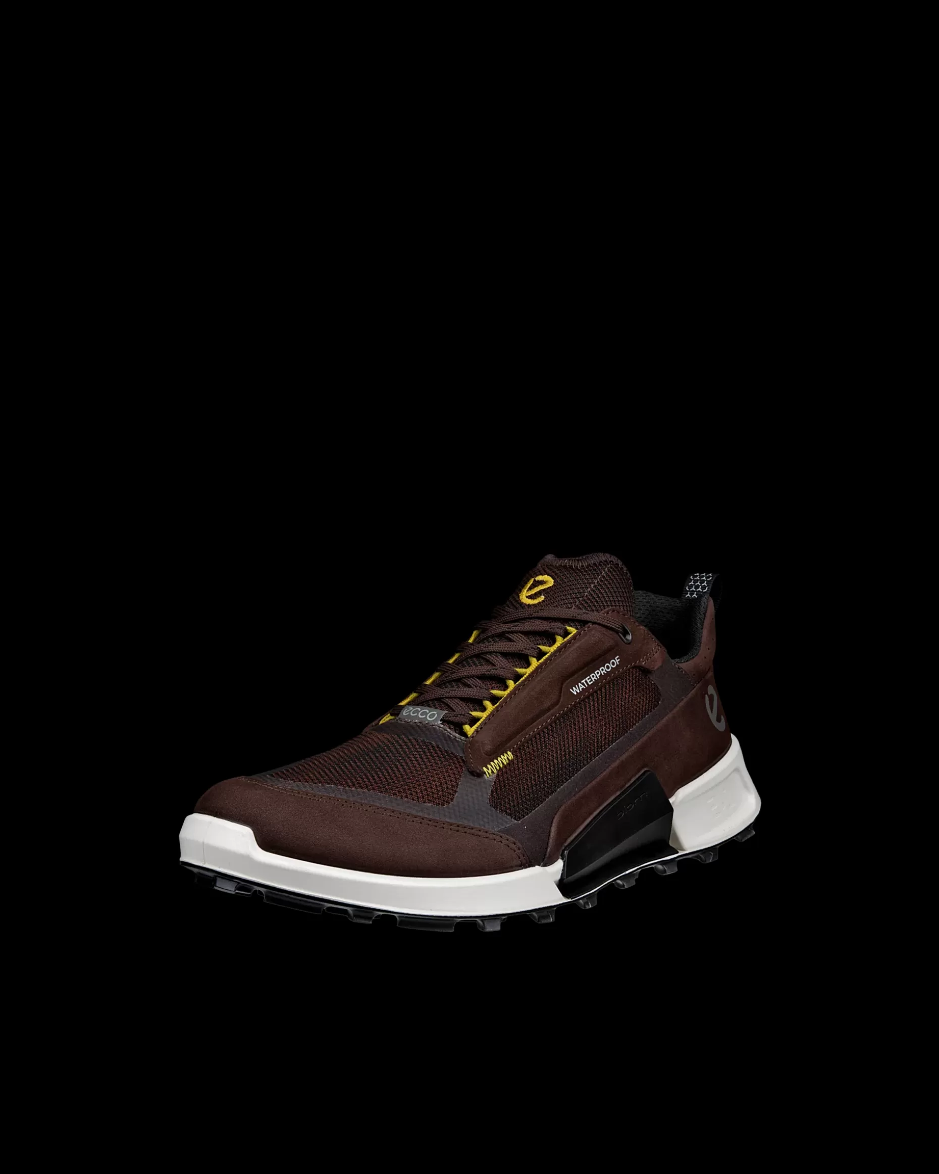 ECCO Sneakers | Outdoor^ BIOM 2.1 X MOUNTAIN M