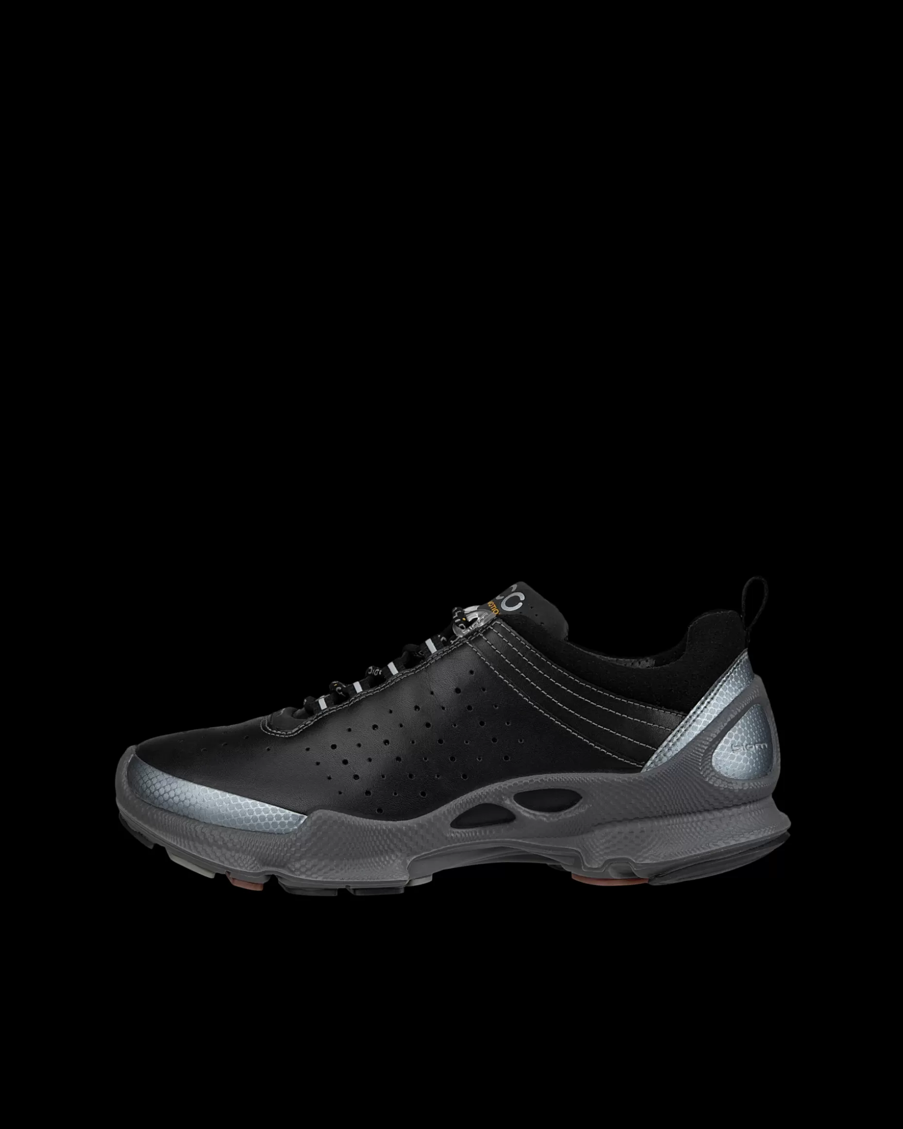 ECCO Sneakers | Outdoor^ BIOM C W