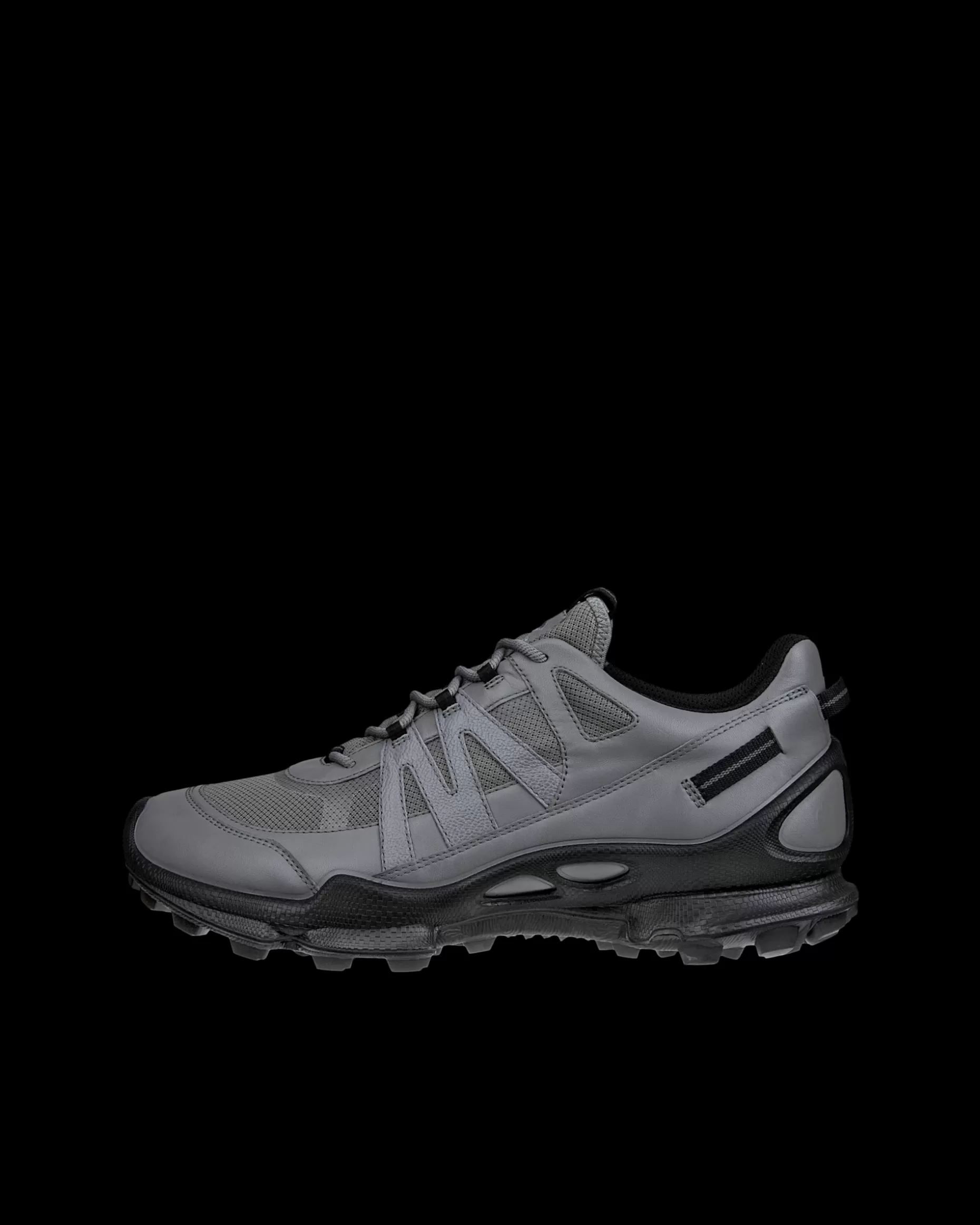 ECCO Sneakers | Outdoor^ BIOM C-TRAIL M