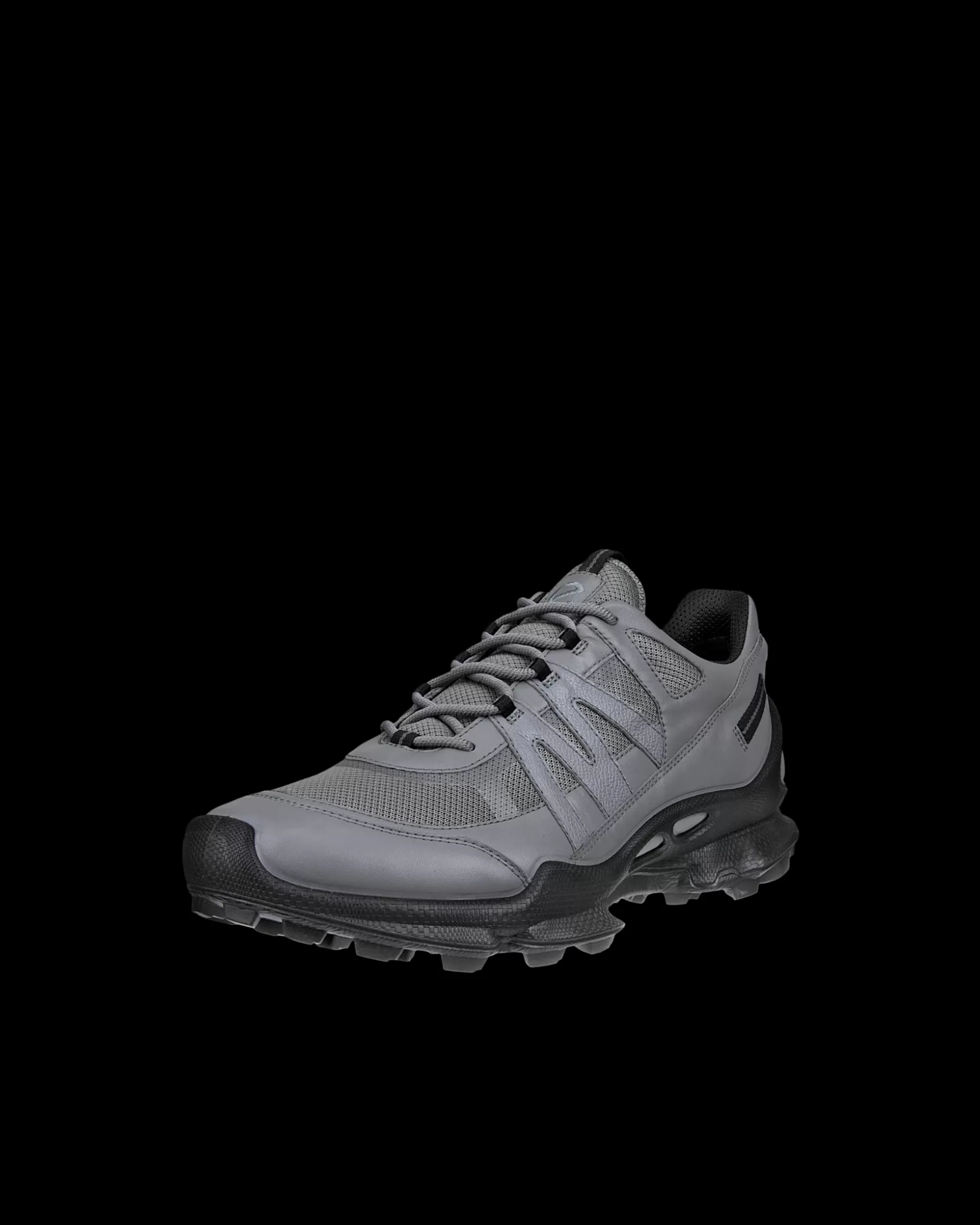 ECCO Sneakers | Outdoor^ BIOM C-TRAIL M