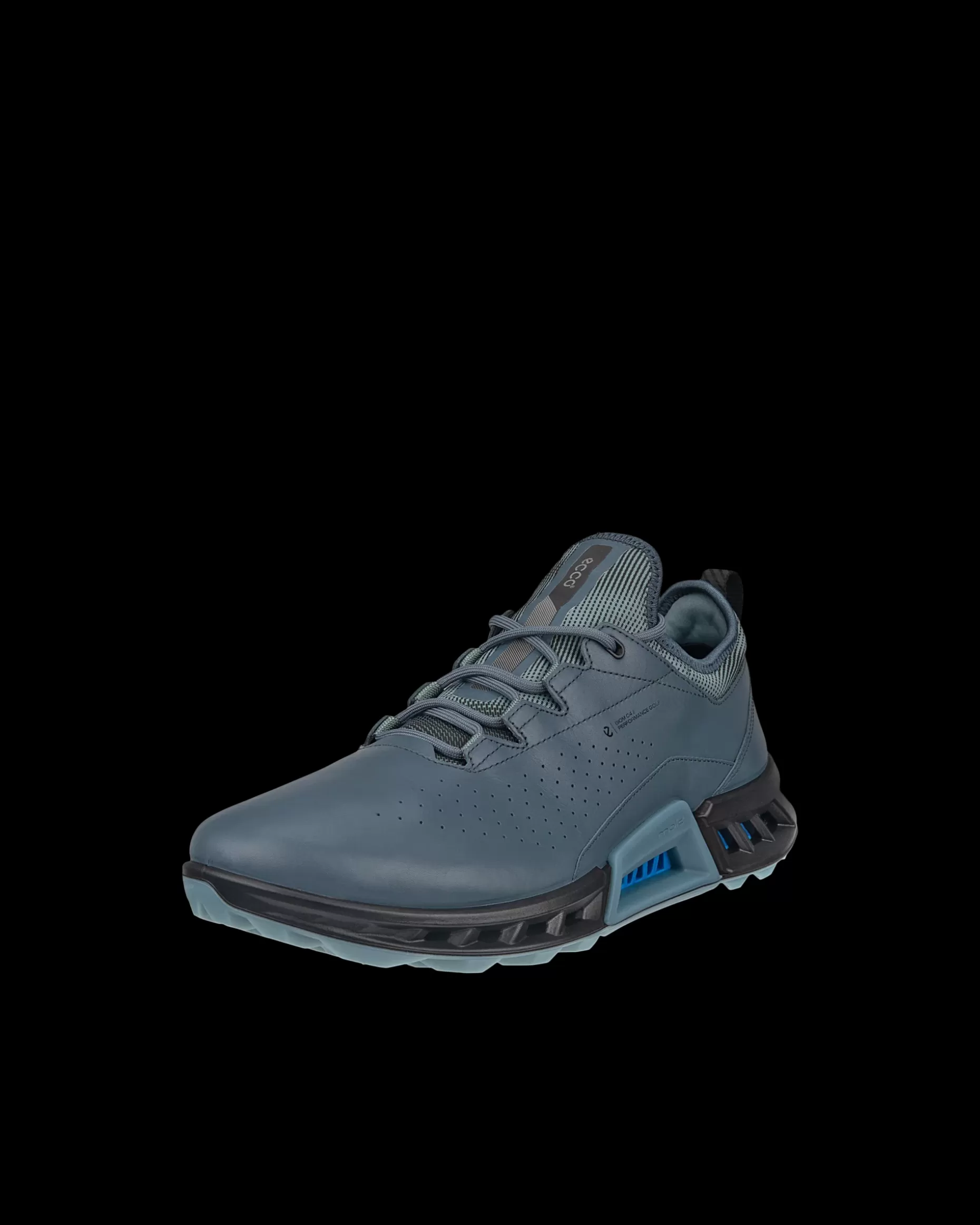 ECCO Gore-Tex | Golf^ M GOLF BIOM C4