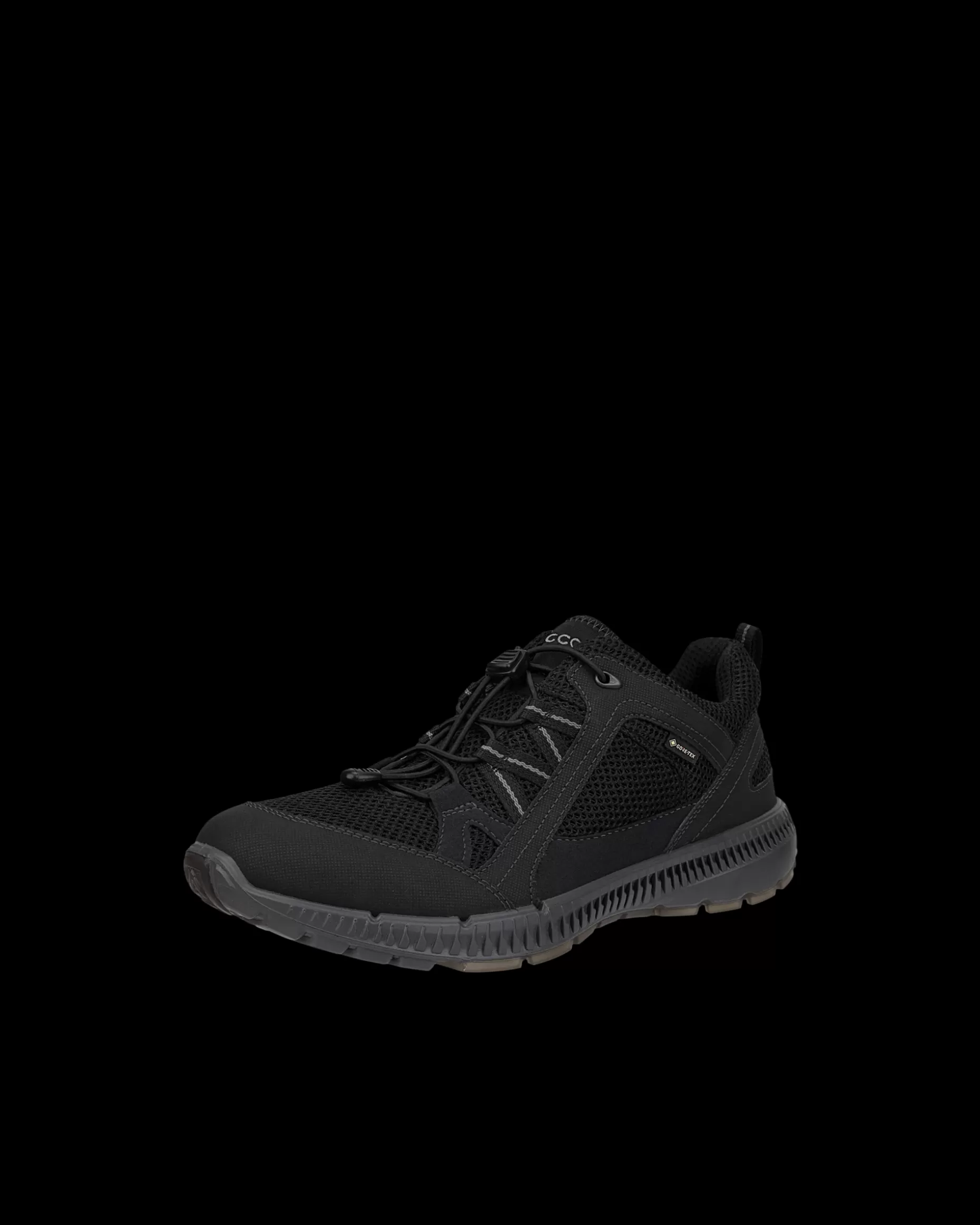 ECCO Gore-Tex | Outdoor^ TERRACRUISE II M