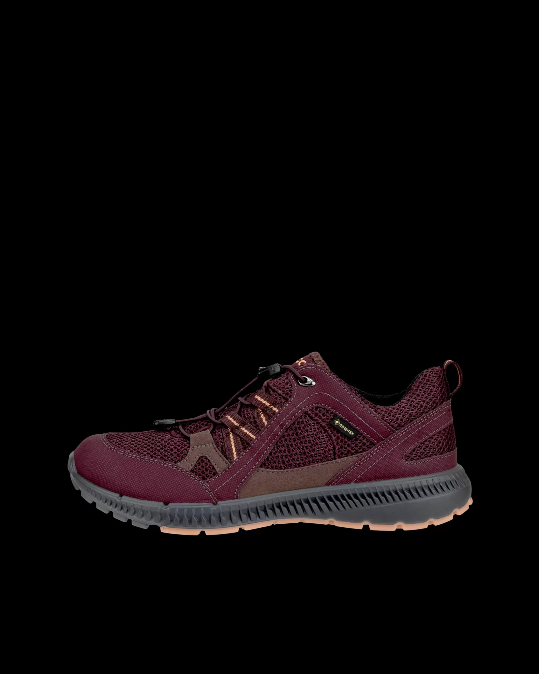 ECCO Gore-Tex | Outdoor^ TERRACRUISE II W